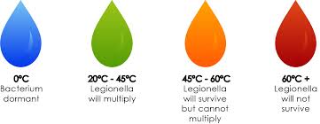 Legionella Bacteria Development