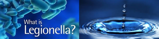 What is Legionella?